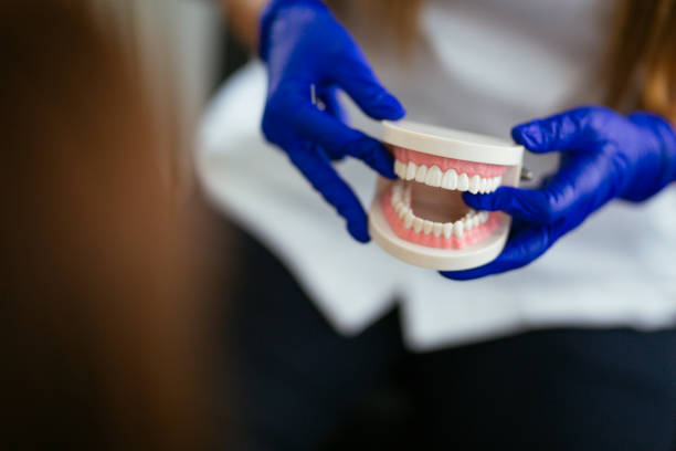 Best TMJ/TMD Treatment  in South Brooksville, FL