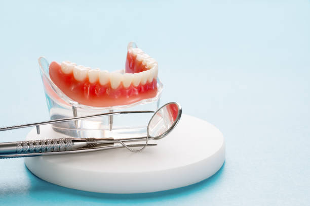 Professional  Holistic Dental Services in South Brooksville, FL