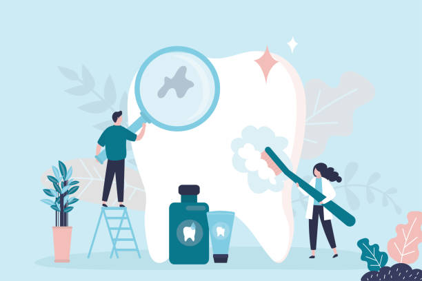 Best Root Canal Treatment  in South Brooksville, FL